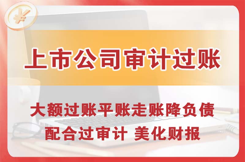 杨浦上市公司审计过账